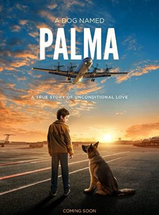 Affiche du film Palma (2021) de . Voir Palma en streaming / torrent sur meilleurs-films.fr