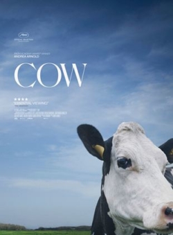 Affiche du documentaire Cow (2021) de Andrea Arnold.