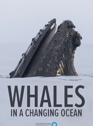 Affiche du film Elementa (2020) de Richard Sidey. Voir Elementa en streaming / torrent sur meilleurs-films.fr