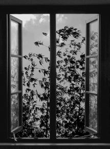 Affiche du film 24 Frames (2016) de Abbas Kiarostami Affiche du film 24 Frames (2016) de Abbas Kiarostami. Voir 24 Frames en streaming / torrent sur meilleurs-films.fr