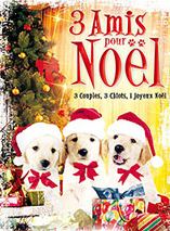 Affiche du film 3 Amis pour Noël (2011) de Joe Menendez Affiche du film 3 Amis pour Noël (2011) de Joe Menendez. Voir 3 Amis pour Noël en streaming / torrent sur meilleurs-films.fr