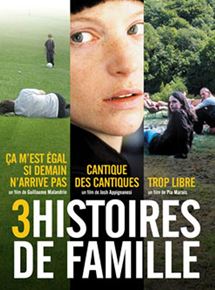 Affiche du film 3 histoires de famille (2008) de Guillaume Malandrin,Pia Marais,Josh Appignanesi. Voir 3 histoires de famille en streaming / torrent sur meilleurs-films.fr