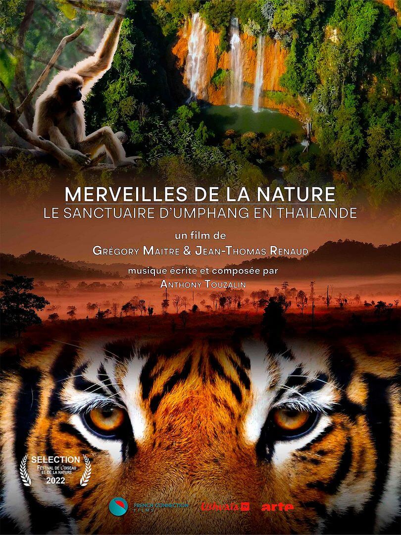 Affiche du court métrage Merveilles de la nature – Le Sanctuaire d’Umphang en Thaïlande (2025) de Grégory Maitre Affiche du court métrage Merveilles de la nature – Le Sanctuaire d’Umphang en Thaïlande (2025) de Grégory Maitre. Voir Merveilles de la nature – Le Sanctuaire d’Umphang en Thaïlande en streaming / torrent sur meilleurs-films.fr