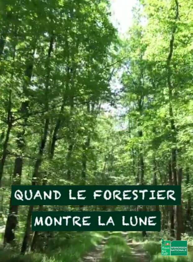 Affiche du film Quand le forestier montre la lune (2023) de Jean Desmaison