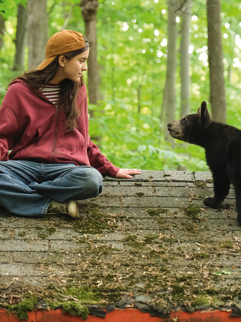 Affiche du film Melody pour un ours (2027) de Gilles de Maistre