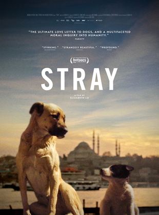 Affiche du film Stray (2020) de Elizabeth Lo. Voir Stray en streaming / torrent sur meilleurs-films.fr