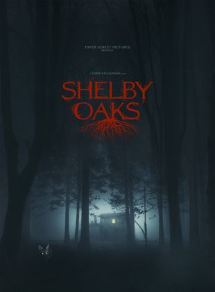 Affiche du film Shelby Oaks (2021) de Chris Stuckmann. Voir Shelby Oaks en streaming / torrent sur meilleurs-films.fr