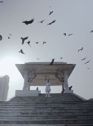 Affiche du film Tout ce que nous respirons (2022) de Shaunak Sen. Voir Tout ce que nous respirons en streaming / torrent sur meilleurs-films.fr