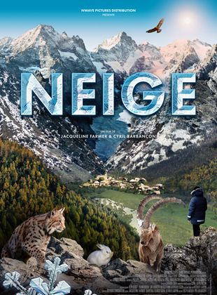 Affiche du film Snow (Neige) (2020) de Cyril Barbançon. Voir Snow (Neige) en streaming / torrent sur meilleurs-films.fr