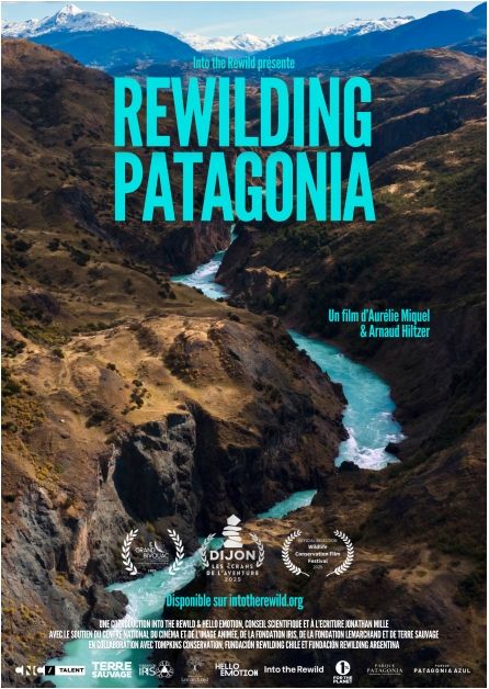 Affiche du film Rewilding Patagonia (2024) de Aurélie Miquel Hiltzer Affiche du film Rewilding Patagonia (2024) de Aurélie Miquel Hiltzer. Voir Rewilding Patagonia en streaming / torrent sur meilleurs-films.fr