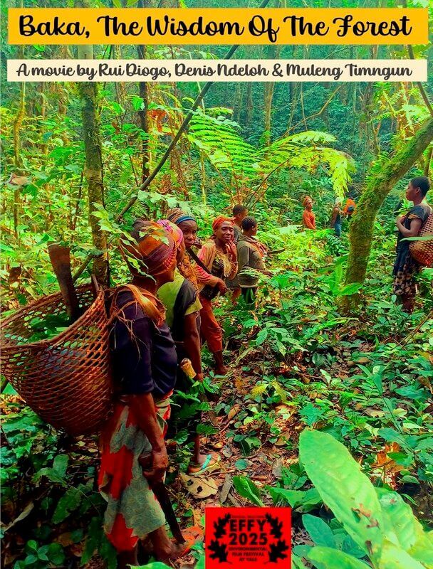 Affiche du film Baka – The wisdom of the forest (2025) de Rui DIOGO Affiche du film Baka – The wisdom of the forest (2025) de Rui DIOGO. Voir Baka – The wisdom of the forest en streaming / torrent sur meilleurs-films.fr