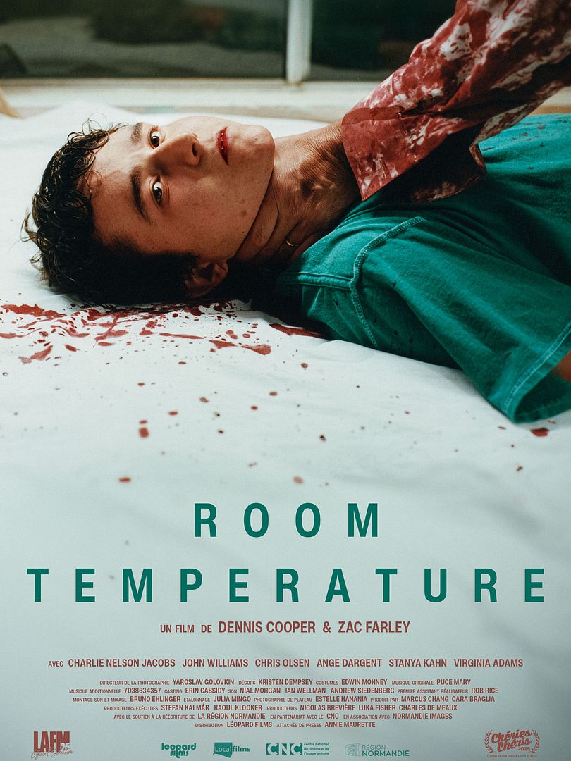Affiche du film Room Temperature (2025) de Dennis Cooper