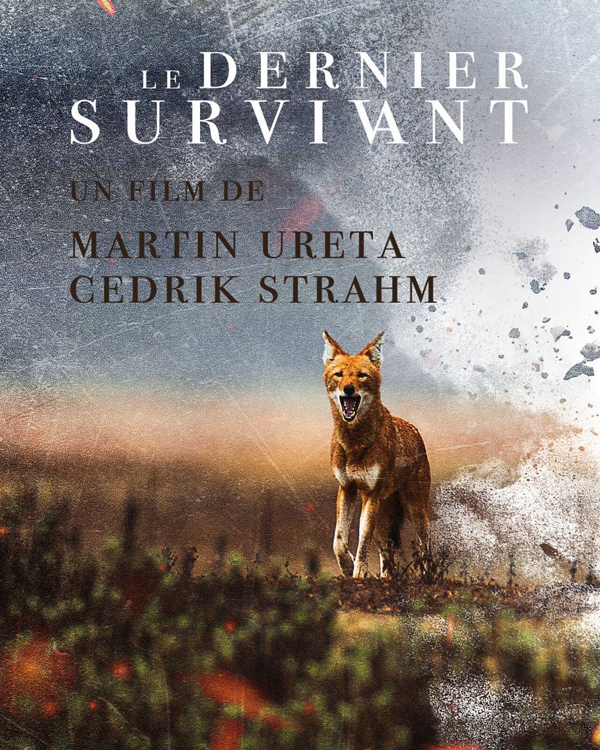Affiche du film Le dernier survivant (2024) de Martin Ureta