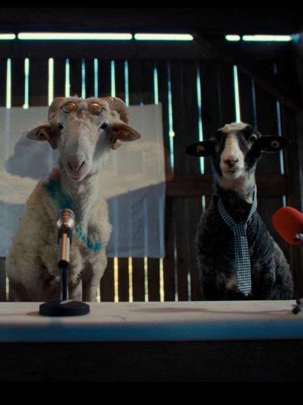 Affiche de la série Sheep (2026) de Alex Reinberg. Voir Sheep en streaming / torrent sur meilleurs-films.fr