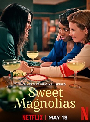 Affiche de la série A l’ombre des magnolias (2020) de Sheryl J. Anderson. Voir A l’ombre des magnolias en streaming / torrent sur meilleurs-films.fr