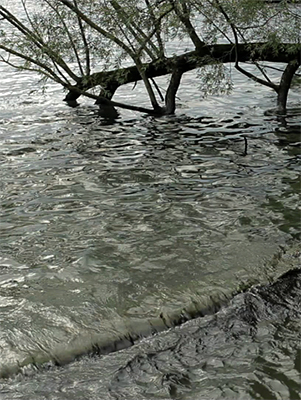 Affiche du court métrage A propos de Venise (2013) de Jean-Marie Straub. Voir A propos de Venise en streaming / torrent sur meilleurs-films.fr
