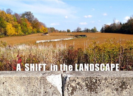 Affiche du court métrage A Shift in the Landscape (2014) de Simone Estrin. Voir A Shift in the Landscape en streaming / torrent sur meilleurs-films.fr