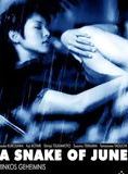 Affiche du film A Snake of June (2002) de Shinya Tsukamoto Affiche du film A Snake of June (2002) de Shinya Tsukamoto. Voir A Snake of June en streaming / torrent sur meilleurs-films.fr