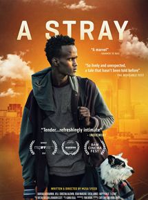 Affiche du film A Stray (2016) de Musa Syeed. Voir A Stray en streaming / torrent sur meilleurs-films.fr