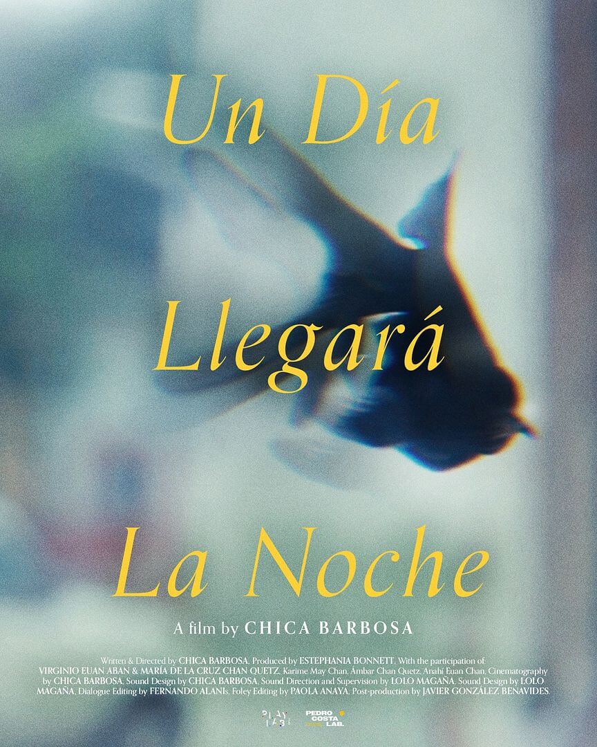 Affiche du court métrage Un día llegará la noche (2025) de Chica Barbosa Affiche du court métrage Un día llegará la noche (2025) de Chica Barbosa. Voir Un día llegará la noche en streaming / torrent sur meilleurs-films.fr