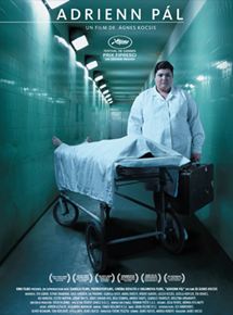 Affiche du film Adrienn Pàl (2010) de Agnes Kocsis. Voir Adrienn Pàl en streaming / torrent sur meilleurs-films.fr