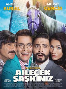 Affiche du film Ailecek ?a?k?n?z (2017) de Selçuk Aydemir. Voir Ailecek ?a?k?n?z en streaming / torrent sur meilleurs-films.fr