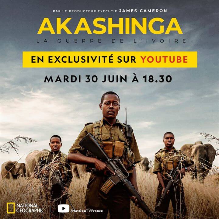 Affiche du court métrage Akashinga : la guerre de l’ivoire (2022) de Maria Wilhelm. Voir Akashinga : la guerre de l’ivoire en streaming / torrent sur meilleurs-films.fr