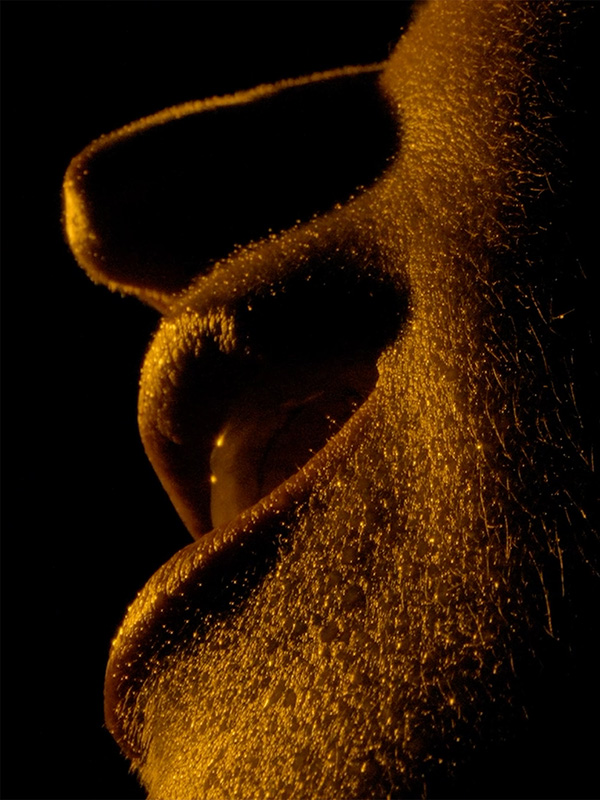 Affiche du court métrage Amo () de Emmanuel Gras. Voir Amo en streaming / torrent sur meilleurs-films.fr