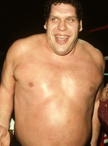 Affiche du film André The Giant (2018) de Jason Hehir. Voir André The Giant en streaming / torrent sur meilleurs-films.fr