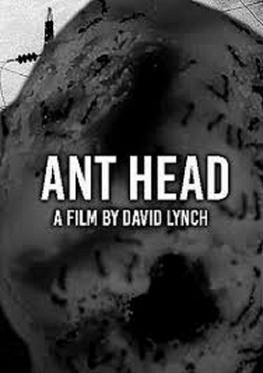Affiche du court métrage Ant Head (2018) de David Lynch Affiche du court métrage Ant Head (2018) de David Lynch. Voir Ant Head en streaming / torrent sur meilleurs-films.fr