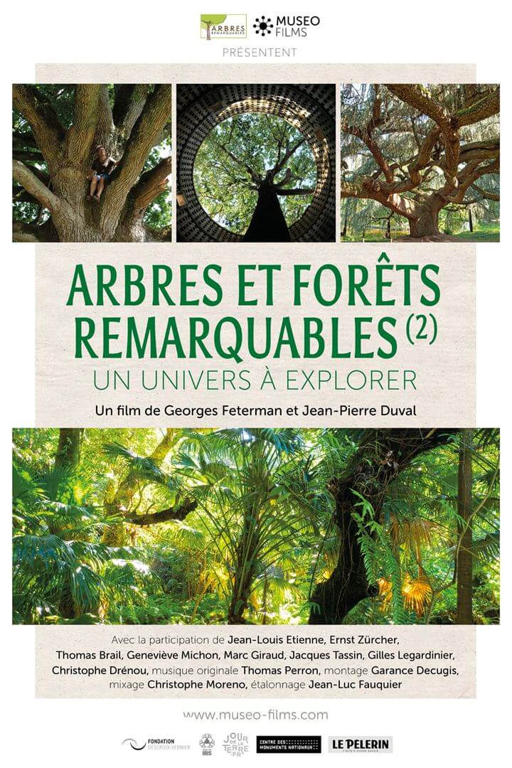 Affiche du film Arbres et forêts Remarquables, un univers à explorer (2020) de Jean-Pierre Duval Affiche du film Arbres et forêts Remarquables, un univers à explorer (2020) de Jean-Pierre Duval. Voir Arbres et forêts Remarquables, un univers à explorer en streaming / torrent sur meilleurs-films.fr