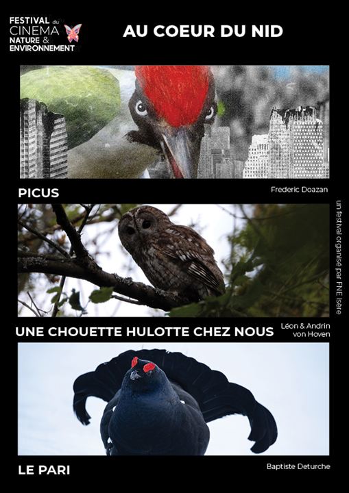 Affiche du film Au cœur du nid (2023) de Frédéric Doazan. Voir Au cœur du nid en streaming / torrent sur meilleurs-films.fr