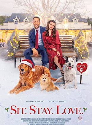 Affiche du film Avec toi pour Noël (2021) de Tori Garrett. Voir Avec toi pour Noël en streaming / torrent sur meilleurs-films.fr