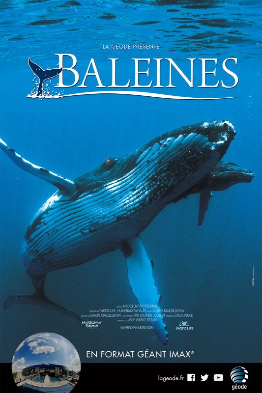 Affiche du film Baleines (2015) de Greg MacGillivray Affiche du film Baleines (2015) de Greg MacGillivray. Voir Baleines en streaming / torrent sur meilleurs-films.fr