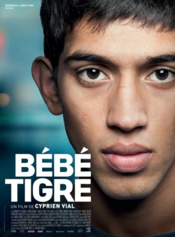 Jaquette du film Bébé Tigre