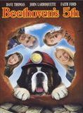 Affiche du film Beethoven 5 (2003) de Mark Griffiths. Voir Beethoven 5 en streaming / torrent sur meilleurs-films.fr
