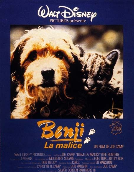 Affiche du film Benji la malice (1987) de Joe Camp. Voir Benji la malice en streaming / torrent sur meilleurs-films.fr