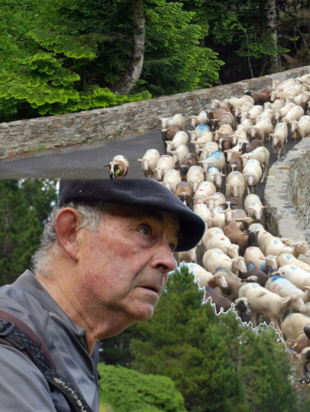 Affiche du film Bergers d’Aure : La transhumance en héritage (2025) de . Voir Bergers d’Aure : La transhumance en héritage en streaming / torrent sur meilleurs-films.fr