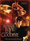 Affiche du film Between Love & Goodbye (2008) de Casper Andreas. Voir Between Love & Goodbye en streaming / torrent sur meilleurs-films.fr