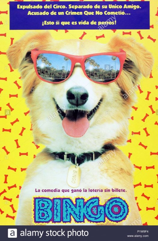 Affiche du court métrage Bingo (1991) de Marjorie Beaucage. Voir Bingo en streaming / torrent sur meilleurs-films.fr