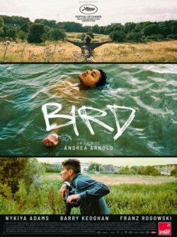 Affiche du film Bird (2025) d'Andrea Arnold.