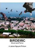 Affiche du film Birdemic: Shock and Terror (2010) de James Nguyen. Voir Birdemic: Shock and Terror en streaming / torrent sur meilleurs-films.fr