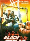 Affiche du film Black Ninja (1987) de Godfrey Ho. Voir Black Ninja en streaming / torrent sur meilleurs-films.fr