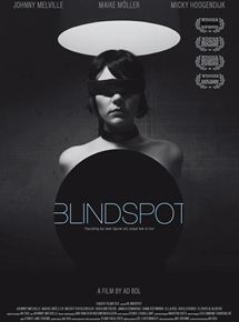 Affiche du film Blindspot (2008) de Ad Bol. Voir Blindspot en streaming / torrent sur meilleurs-films.fr