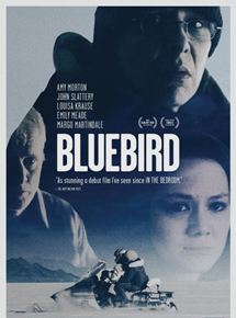 Affiche du film Bluebird (2013) de Lance Edmands. Voir Bluebird en streaming / torrent sur meilleurs-films.fr