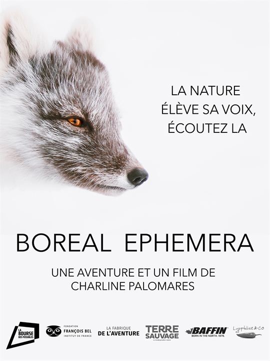 Affiche du court métrage Boreal Ephemera (2025) de Charline Palomares. Voir Boreal Ephemera en streaming / torrent sur meilleurs-films.fr