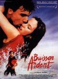 Affiche du film Buisson ardent (1987) de Laurent Perrin. Voir Buisson ardent en streaming / torrent sur meilleurs-films.fr