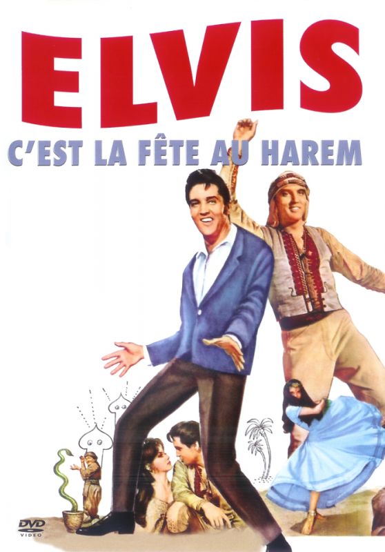 Affiche du film C’est la fête au harem (1965) de Gene Nelson. Voir C’est la fête au harem en streaming / torrent sur meilleurs-films.fr