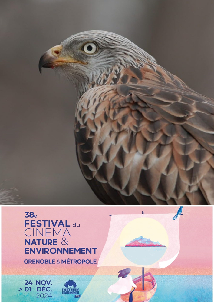Affiche du film Solidarité : Action Réaction – Festival du Cinéma Nature et Environnement 2024 (2023) de Kim Yip Tong Affiche du film Solidarité : Action Réaction – Festival du Cinéma Nature et Environnement 2024 (2023) de Kim Yip Tong. Voir Solidarité : Action Réaction – Festival du Cinéma Nature et Environnement 2024 en streaming / torrent sur meilleurs-films.fr