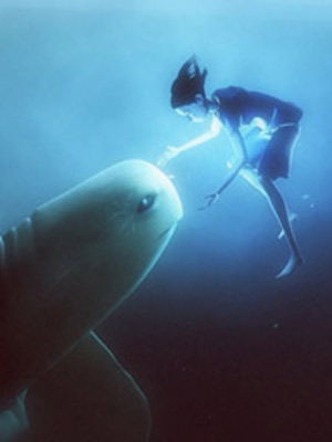 Affiche du court métrage Caldera (2012) de Evan Viera. Voir Caldera en streaming / torrent sur meilleurs-films.fr